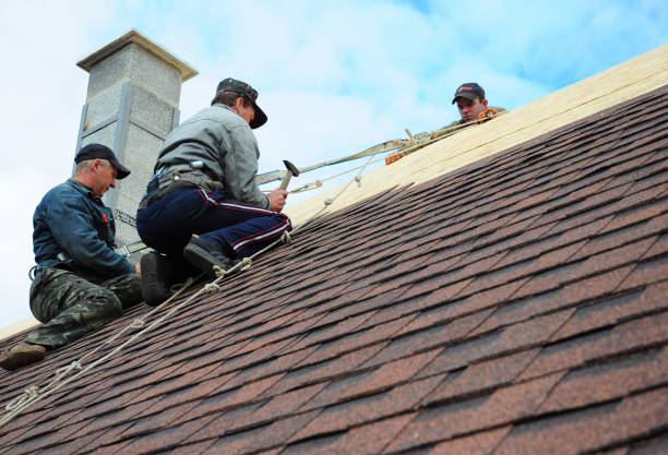 Best Shingle Roofing Installation  in Mount Vernon, NY